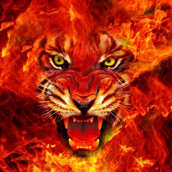 Hello Everyone,,,,,Welcome! - Picture 8 of 8